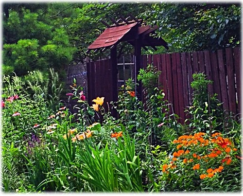 Wooden garden gate on a residential fence line